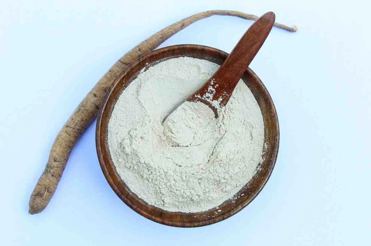 Shatavari powder in wooden bowl with dried root on white background